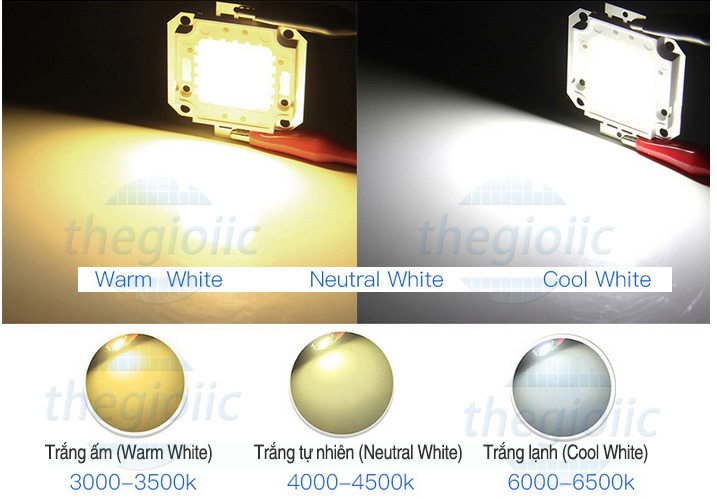 LED COB Trắng Ấm 50W 220V