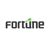 Fortune Semicon