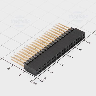 Hàng Rào Cái Đôi 2.54mm 40 Chân 2 Hàng Cao 24mm Xuyên Lỗ