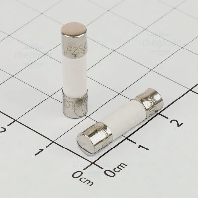 Cầu Chì Sứ 25A 5x20mm