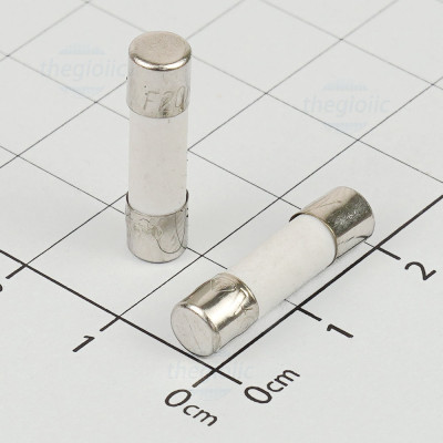 Cầu Chì Sứ 20A 5x20mm