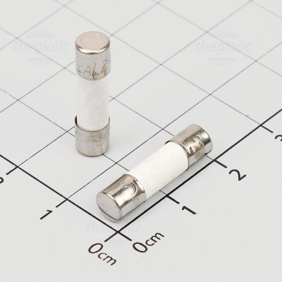 Cầu Chì Sứ 2A 5x20mm