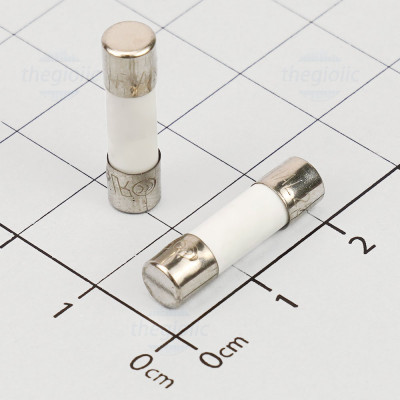 Cầu Chì Sứ 1A 5x20mm