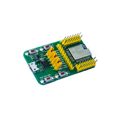 E180-ZG120B-TB Module Zigbee Test Kit