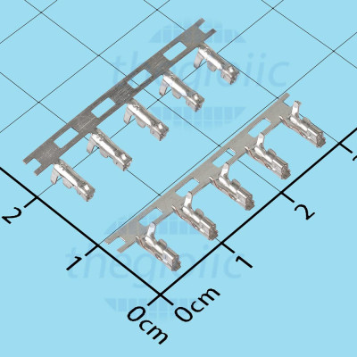 Kim Bấm Dây EH2.54 Đầu Cái 2.54mm Mạ Thiếc Dây 22AWG